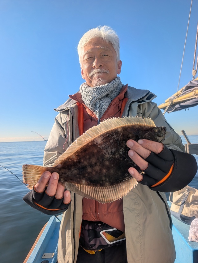 カレイ(マコガレイ)