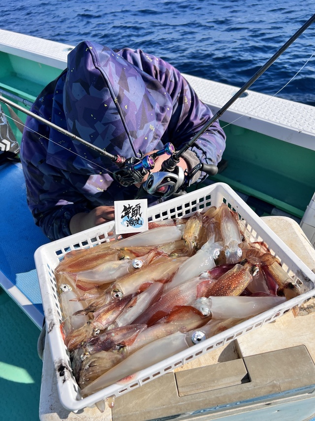 マルイカ(ケンサキイカ)