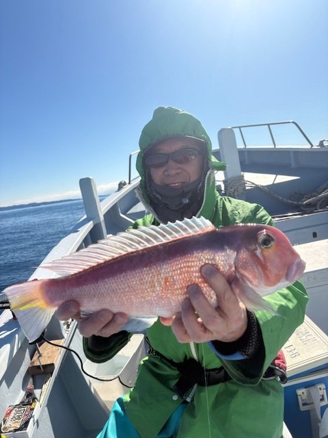 アマダイ(アカアマダイ)