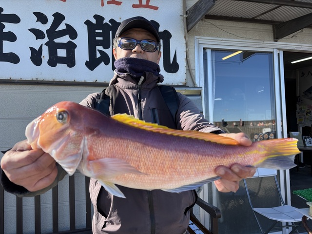 アマダイ(アカアマダイ)