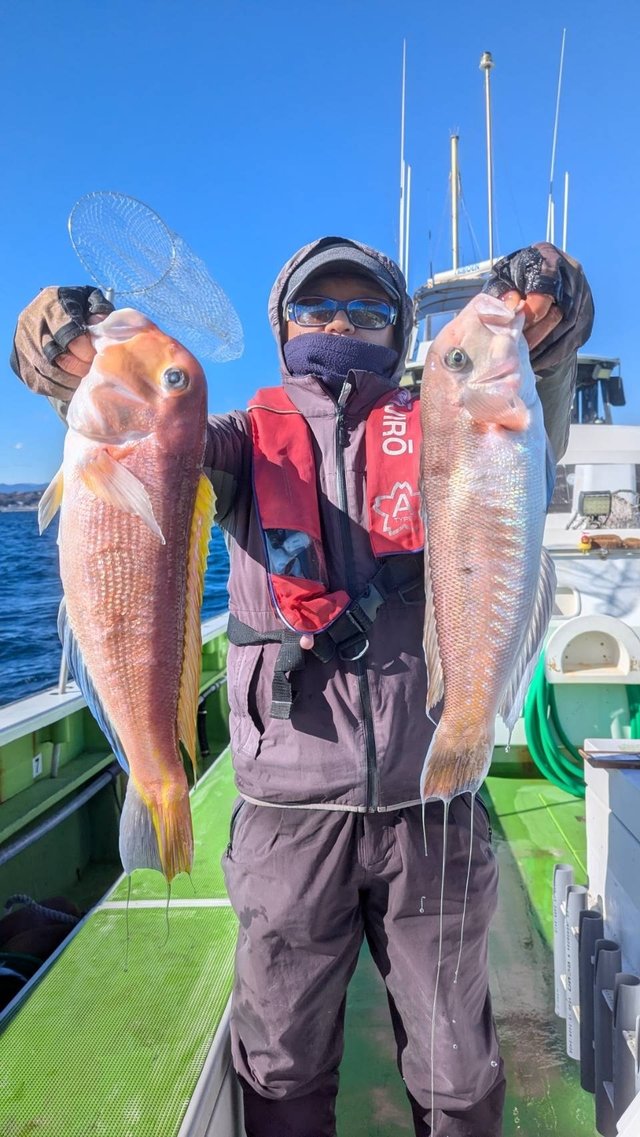 アマダイ(アカアマダイ)