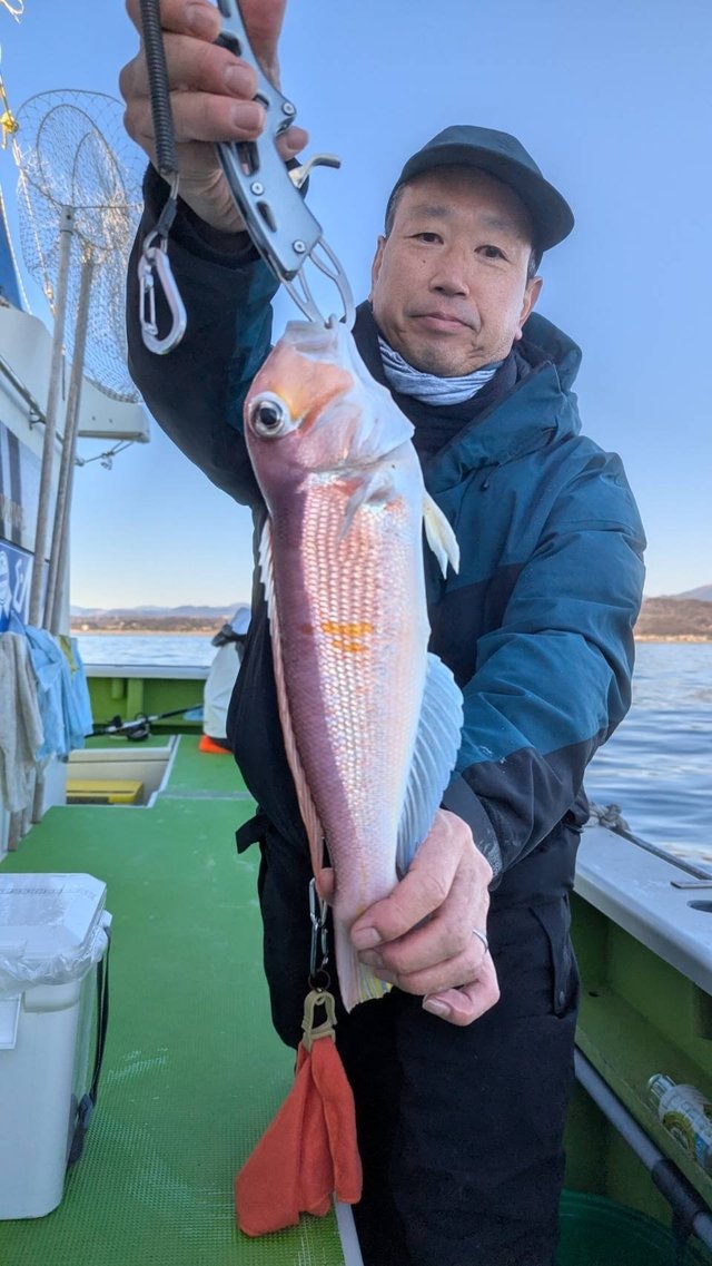 アマダイ(アカアマダイ)