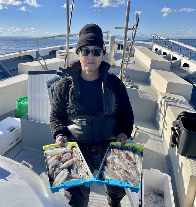 マルイカ(ケンサキイカ)