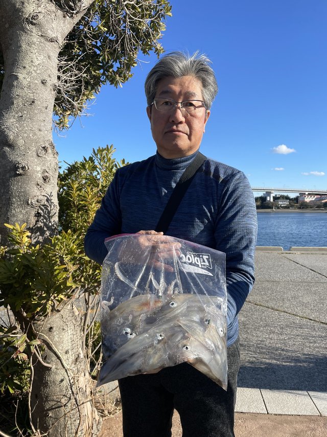 マルイカ(ケンサキイカ)