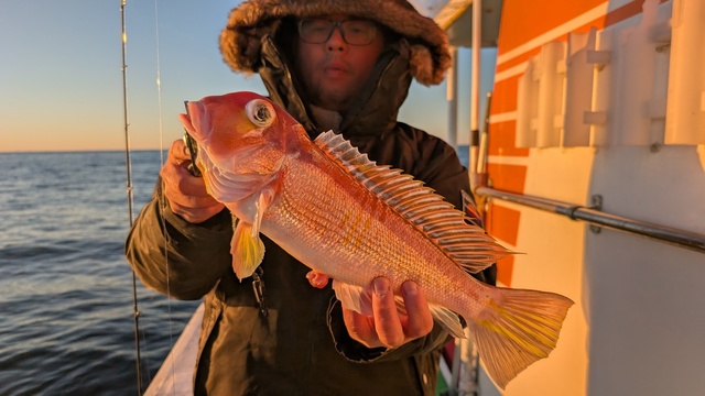 アマダイ(アカアマダイ)