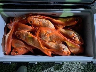 キンメ(キンメダイ)