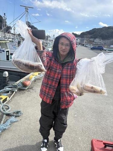 マルイカ(ケンサキイカ)・ヤリイカ・マイカ(ケンサキイカ)