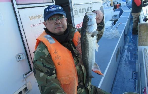 シーバス(スズキ)