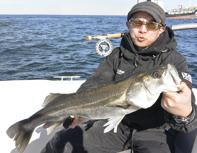 シーバス(スズキ)