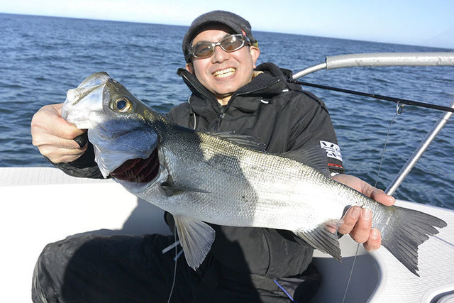 シーバス(スズキ)