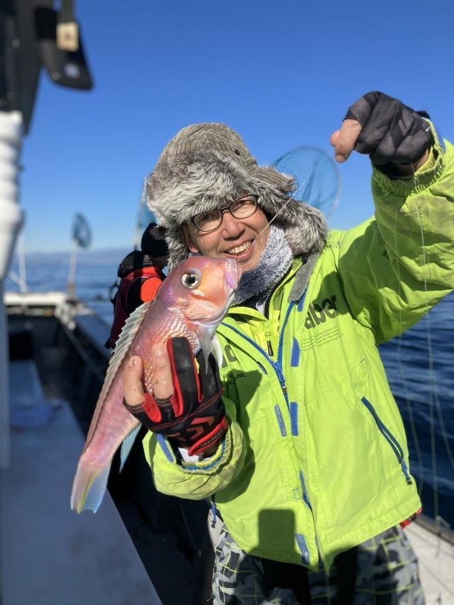 アマダイ(アカアマダイ)