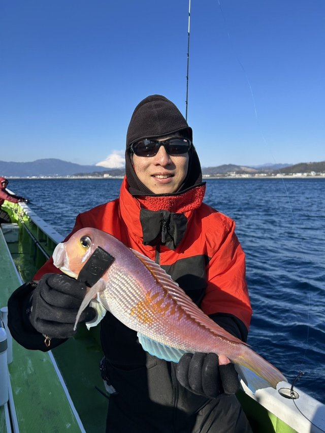 アマダイ(アカアマダイ)