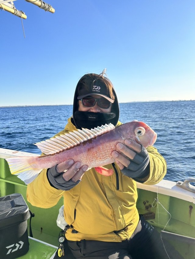 アマダイ(アカアマダイ)