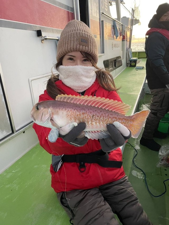 アマダイ(アカアマダイ)