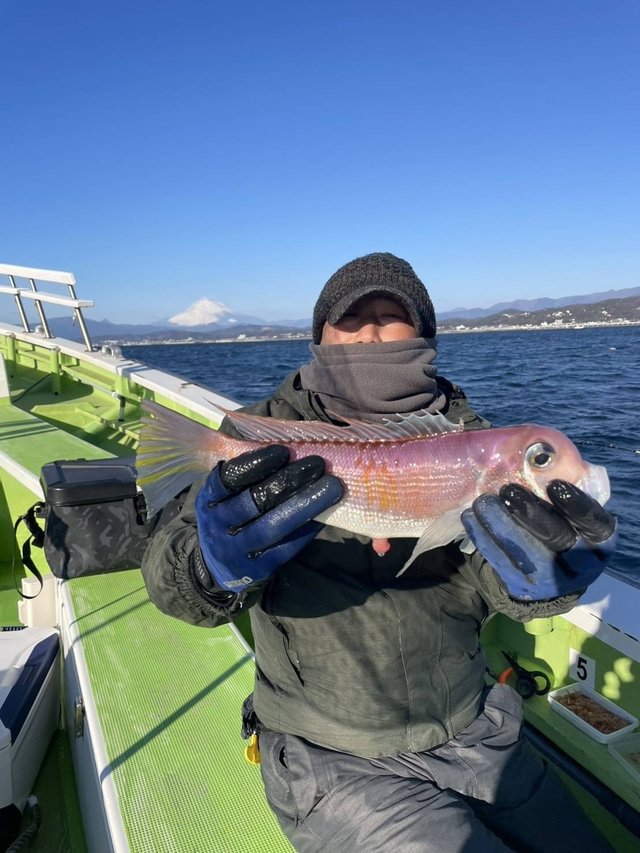 アマダイ(アカアマダイ)