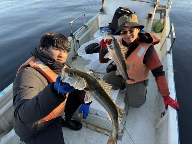 シーバス(スズキ)