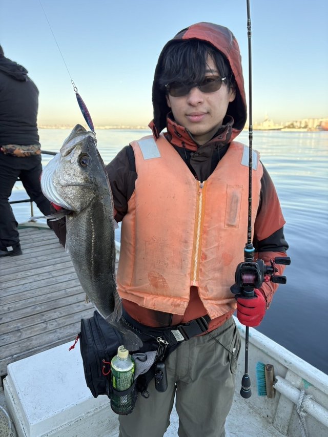 シーバス(スズキ)