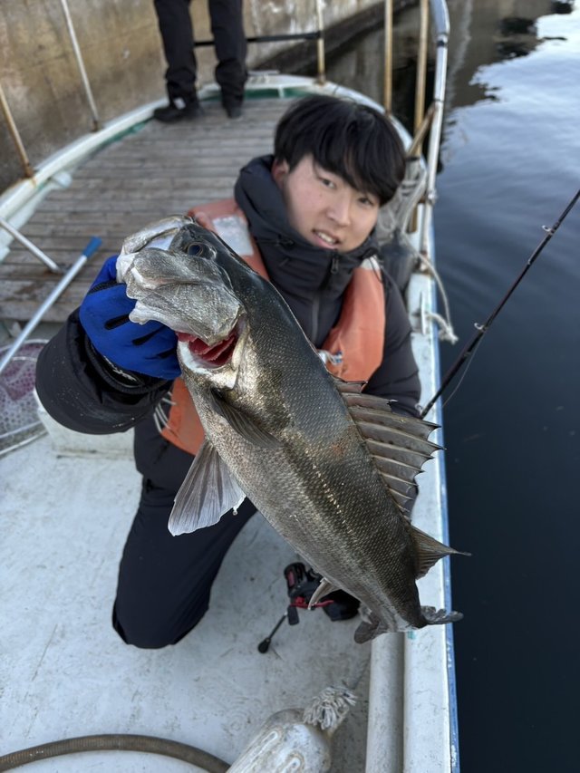 シーバス(スズキ)