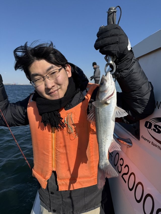 シーバス(スズキ)