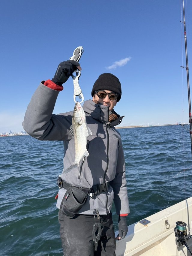 シーバス(スズキ)