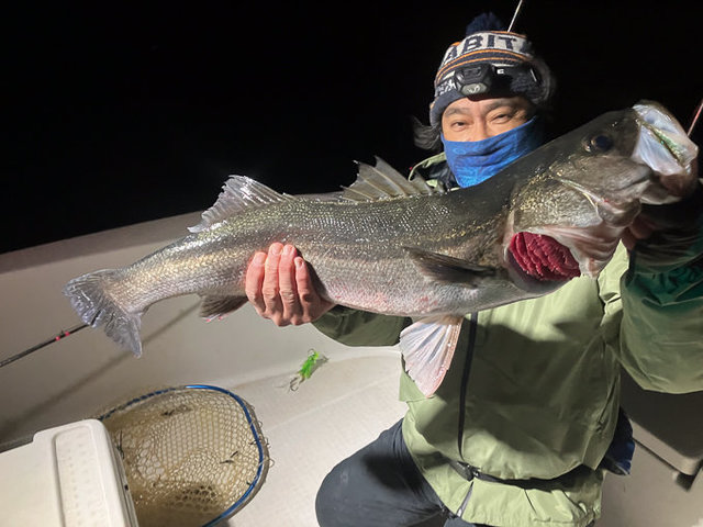 シーバス(スズキ)