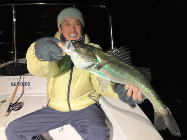 シーバス(スズキ)