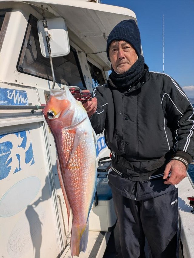 アマダイ(アカアマダイ)