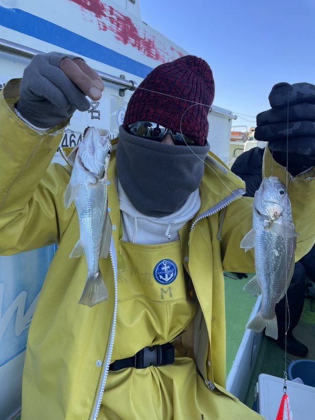 イシモチ(シログチ)