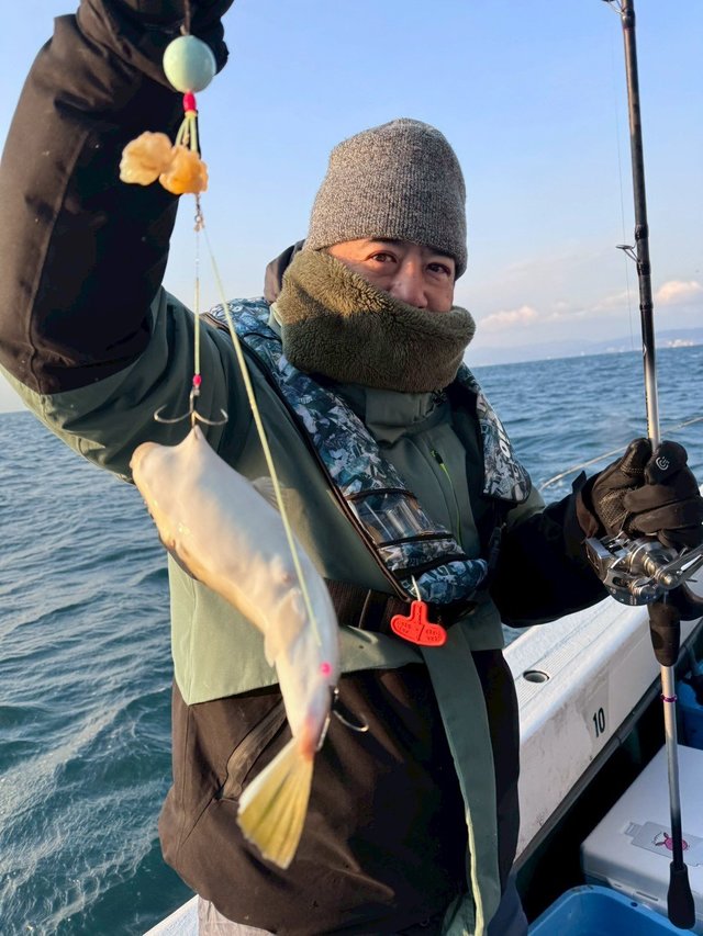 ショウサイフグ