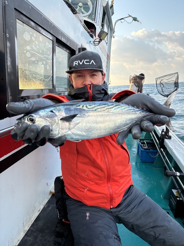 ヤイトガツオ(スマ)