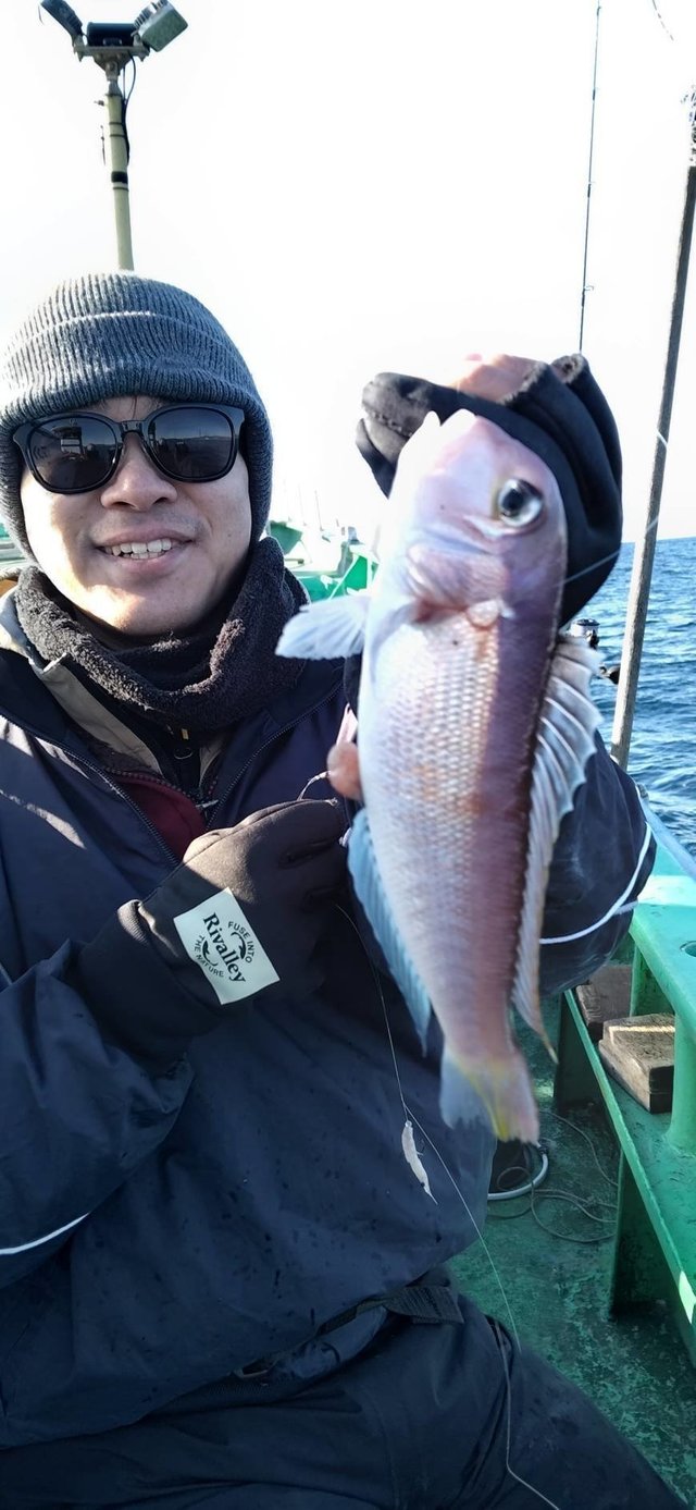 アマダイ(アカアマダイ)