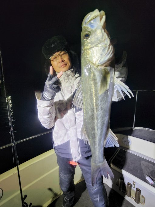 シーバス(スズキ)