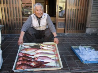 イトヨリ(イトヨリダイ)・カサゴ