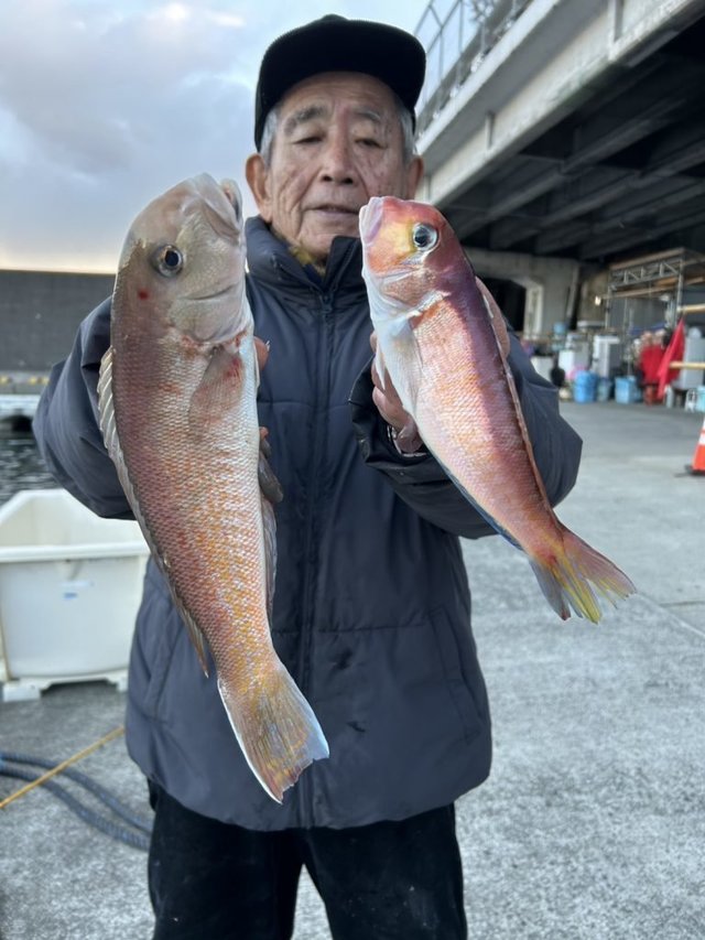 アマダイ(アカアマダイ)・シロアマダイ