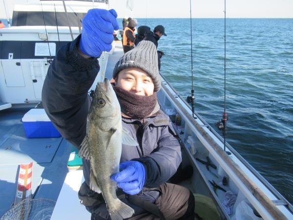 シーバス(スズキ)