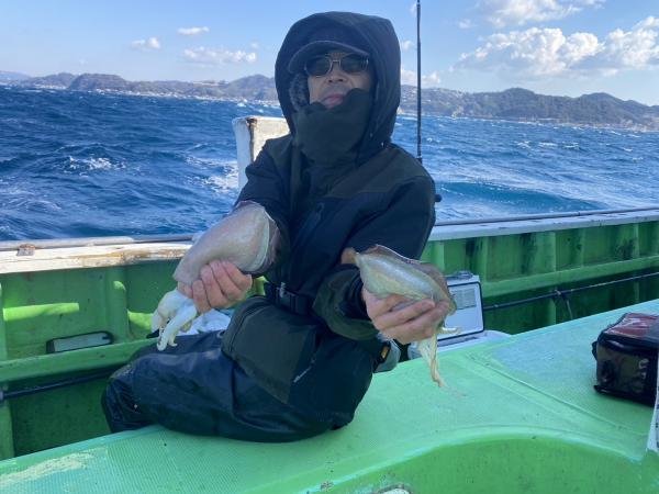 モンゴウ(カミナリイカ)