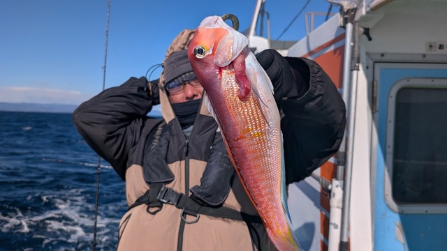 アマダイ(アカアマダイ)