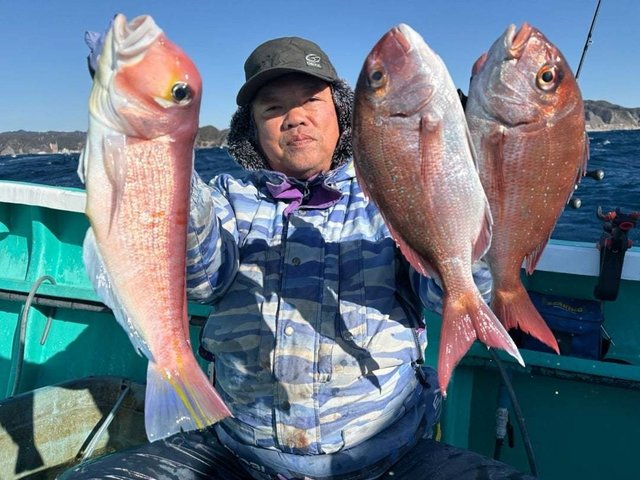 マダイ・アマダイ(アカアマダイ)