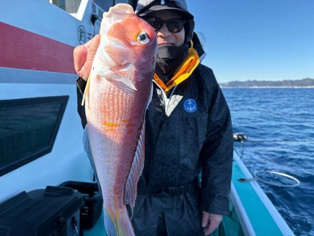 アマダイ(アカアマダイ)