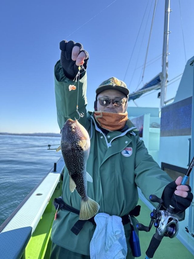 フグ(ショウサイフグ)