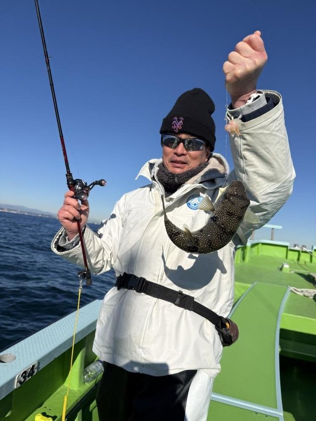 フグ(ショウサイフグ)