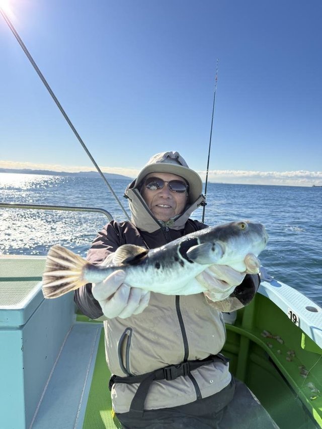 フグ(トラフグ)