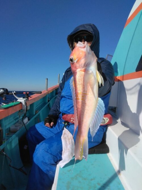 アマダイ(アカアマダイ)