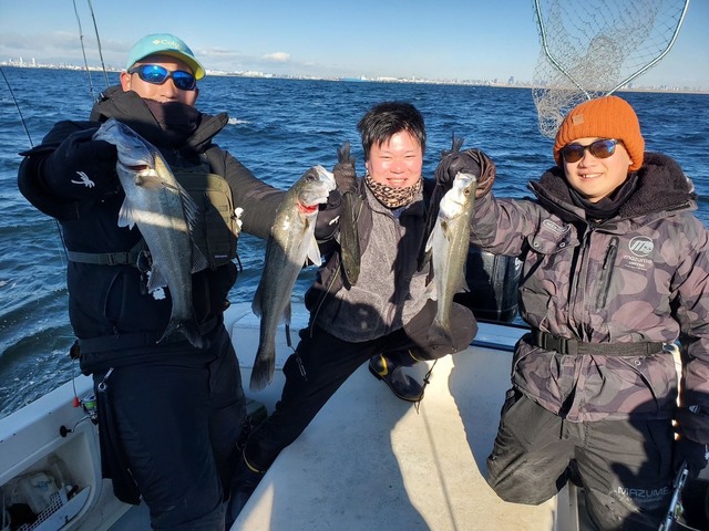 シーバス(スズキ)