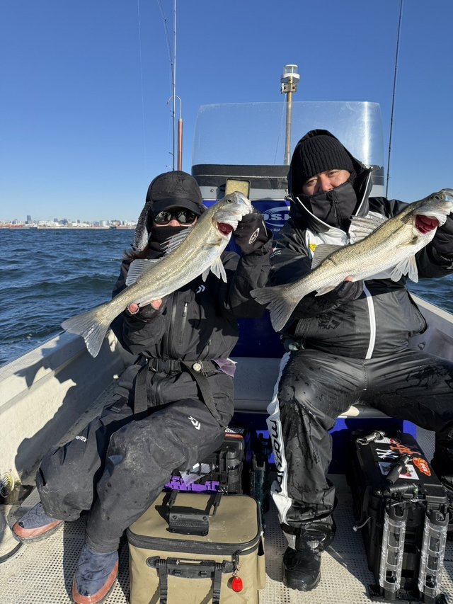 シーバス(スズキ)