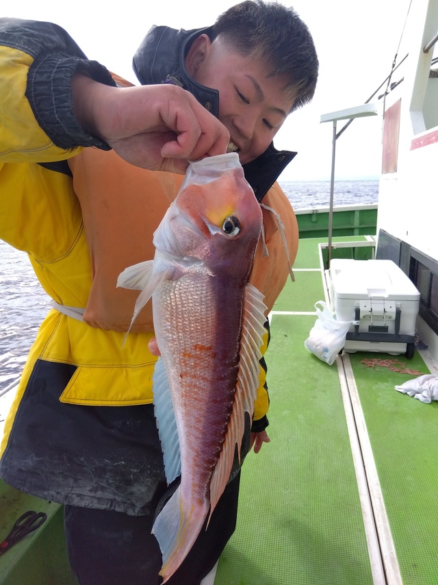 アマダイ(アカアマダイ)