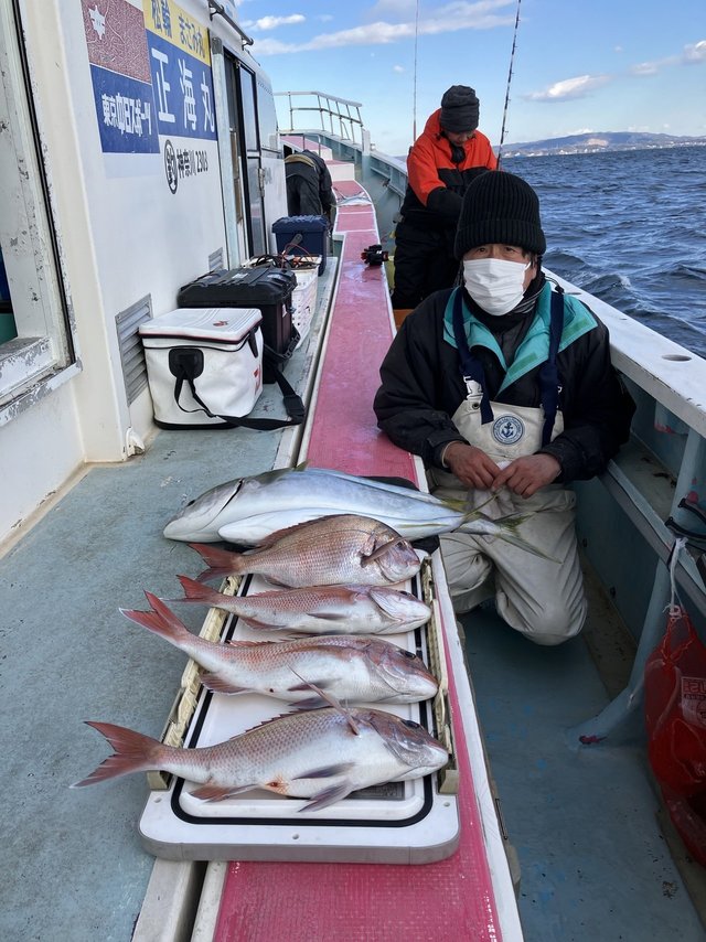 マダイ・ワラサ(ブリ)