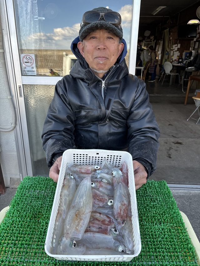 マルイカ(ケンサキイカ)