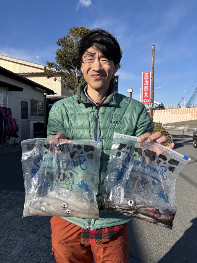 マルイカ(ケンサキイカ)