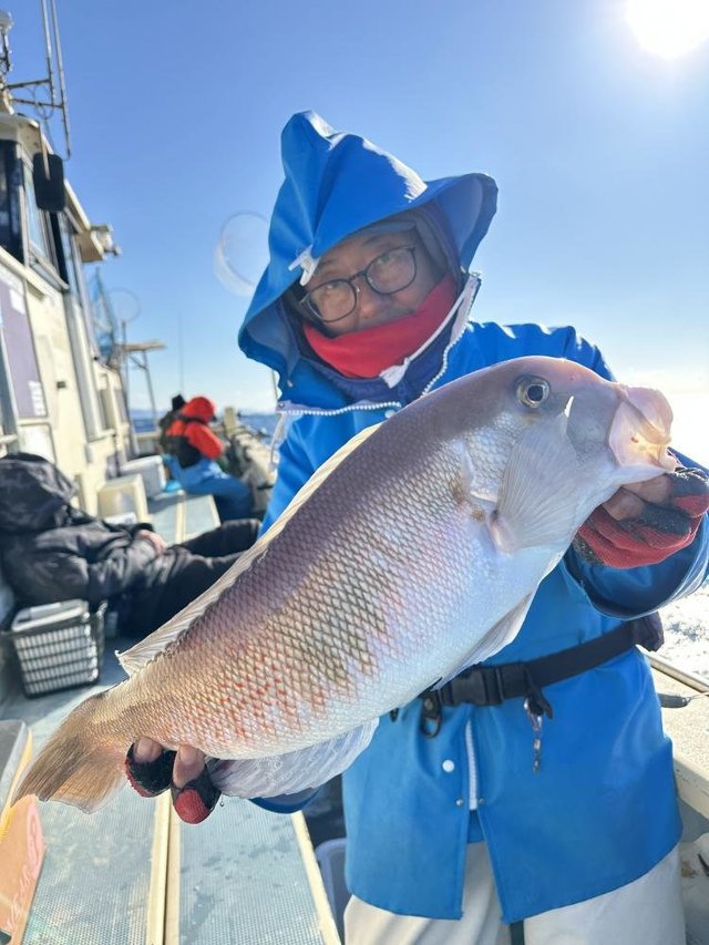 アマダイ(アカアマダイ)